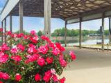 1017 River Front Dr - Photo 8