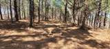 1 Saddleback Dr - Photo 2