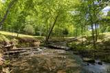 320 Dyestone Springs Road - Photo 3