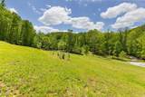 320 Dyestone Springs Road - Photo 52
