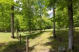 320 Dyestone Springs Road - Photo 53
