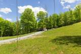 320 Dyestone Springs Road - Photo 54