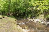 320 Dyestone Springs Road - Photo 61