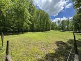 320 Dyestone Springs Road - Photo 74