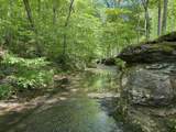 320 Dyestone Springs Road - Photo 75