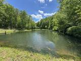 320 Dyestone Springs Road - Photo 78