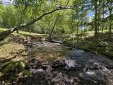 320 Dyestone Springs Road - Photo 79
