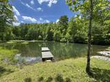 320 Dyestone Springs Road - Photo 80