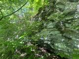 0 Hidden River Rd - Photo 15