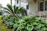 305 Marks Ave - Photo 39
