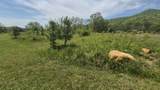 525527 Shady Grove Road - Photo 12