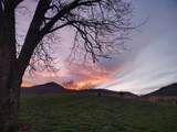 525527 Shady Grove Road - Photo 52