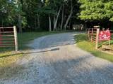 203 Terry Ln - Photo 3