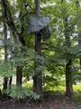 203 Terry Ln - Photo 47