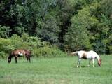 427 Frank Sims Rd - Photo 30