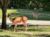 3270 Lylewood Rd - Photo 2