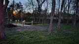 11731 Milton St - Photo 6