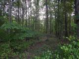 3355 Willie Mauldon Rd - Photo 41