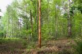 40A Barker Cove Loop - Photo 51