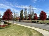 4109 Cile Ct - Photo 5