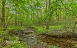 2385 Clear Brooks Drive - Photo 46