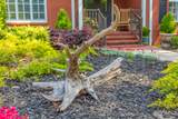 1339 Ashes Avenue - Photo 79
