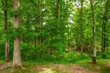 6513 N Mount Pleasant Rd - Photo 17