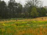 226 Douglas Rd - Photo 43