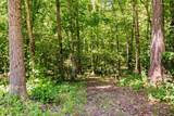 306 Riverwood Dr - Photo 30