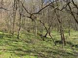 662 Wilmore Hollow Rd - Photo 2