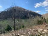 662 Wilmore Hollow Rd - Photo 16