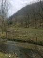 662 Wilmore Hollow Rd - Photo 19