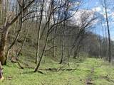 662 Wilmore Hollow Rd - Photo 8