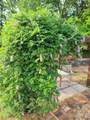 1157 Knox Rd - Photo 20