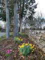 1157 Knox Rd - Photo 33