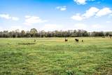 4785 Hwy 41A N - Photo 38