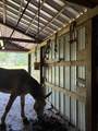 1004 Haydenburg Rd - Photo 11