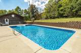 1654B Highway 231 - Photo 58