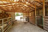 1654B Highway 231 - Photo 68