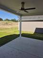 617 Whitetail Ct - Photo 12