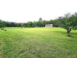 6100 Bell Branch Trl - Photo 8