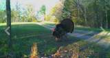 3250 Luther Ragan Rd - Photo 33