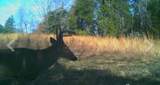 3250 Luther Ragan Rd - Photo 34