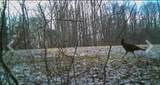 3250 Luther Ragan Rd - Photo 35