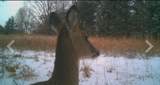 3250 Luther Ragan Rd - Photo 36