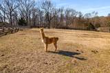 4514 Harpeth School Rd - Photo 51