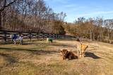 4514 Harpeth School Rd - Photo 52