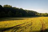 1462 Highway 48 - Photo 27