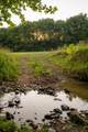 1462 Highway 48 - Photo 35