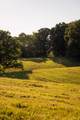 1462 Highway 48 - Photo 40
